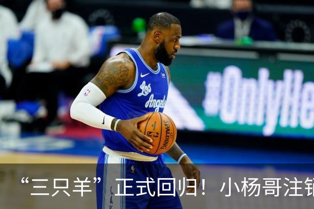 “三只羊”正式回归！小杨哥注销过亿粉丝d音账号，再注册新号发声明。
