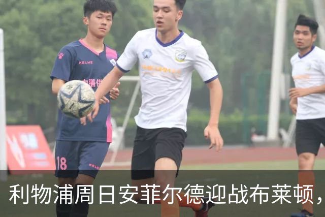 利物浦周日安菲尔德迎战布莱顿，预计改打4-2-3-1