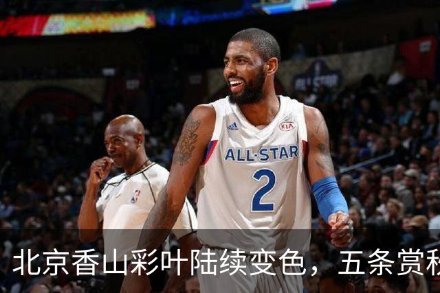 北京香山彩叶陆续变色，五条赏秋线路各有特点