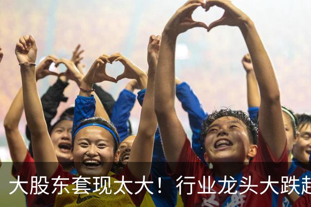 大股东套现太大！行业龙头大跌超14%