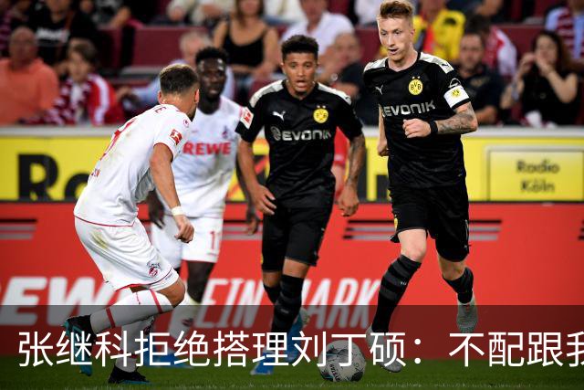张继科拒绝搭理刘丁硕：不配跟我平起平坐！我很忙，做的事情很有意义