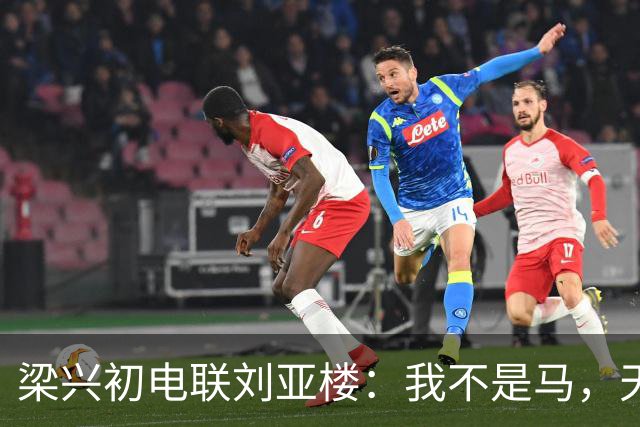 梁兴初电联刘亚楼：我不是马，天天吃豆子，刘：大胆，你骂谁？