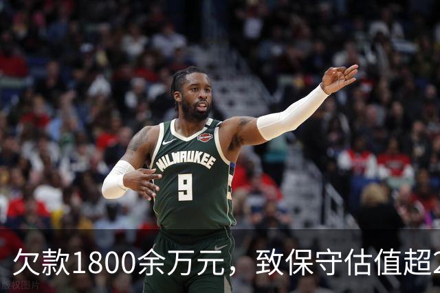 欠款1800余万元，致保守估值超2.5亿元的295套房产被查封3年