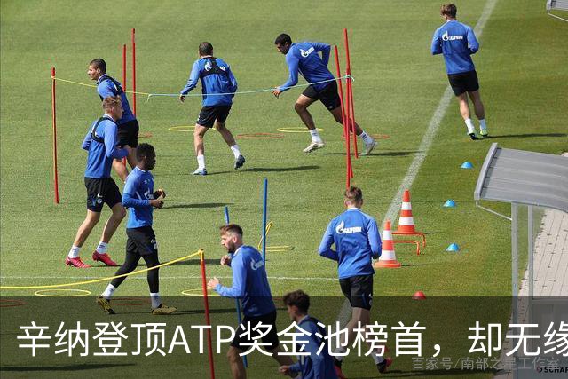 辛纳登顶ATP奖金池榜首，却无缘450万美元巨额奖励