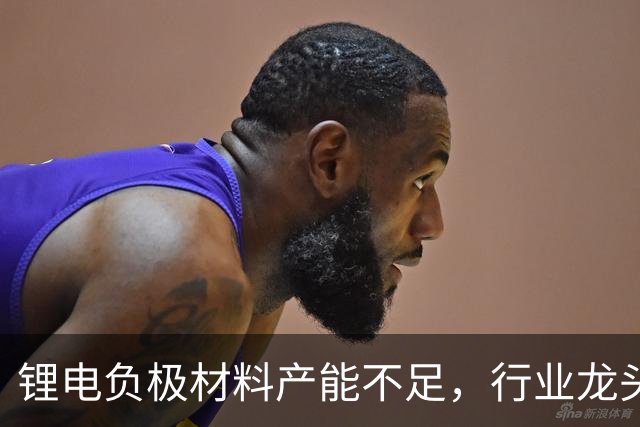 锂电负极材料产能不足，行业龙头杉杉股份拟定增募资不超40亿元加码产能等，海螺集团将全额认购